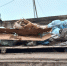 В Кузьминовке вместо детской площадки горы мусора - Газета Восход